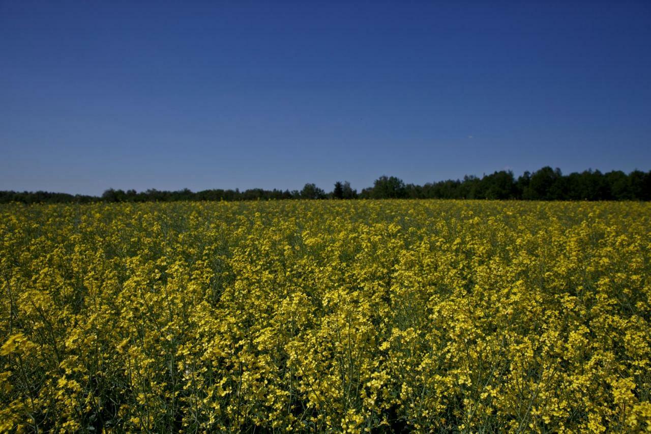 Agroturystyka Wichrowe Wzgorze Osiek  Exteriör bild